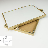 Rama AL-1A anodowana złota